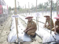 Bupati Nanang Ermanto Tanam Pohon Melon di Desa Trimomukti Kecamatan Candipuro