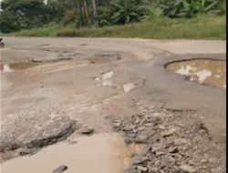 Viral Jalan Rusak, Jadi Kado HUT Ke-25 Lampung Timur