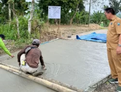 Gunakan Anggaran DD Rp 153 Juta, Desa Tarahan Bangun Jalan Beton 250 Meter Ditahap Pertama 2024
