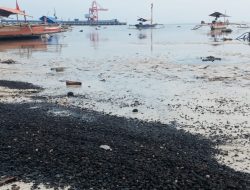 Klarifikasi Terkait Polemik Limbah, DLH Lamsel Terkesan Sebagai Juru Bicara PLTU Sebalang 