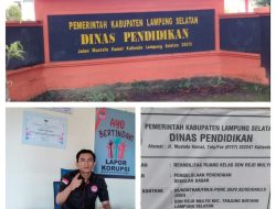 Dugaan Anggaran Rehab SD Negeri Rejo Mulyo Bermasalah, Ketua FPII Lamsel:Kinerja Kadisdik di Pertanyakan..!?
