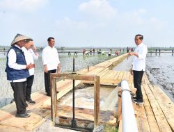 Jokowi Tinjau Pompanisasi di Lampung Selatan