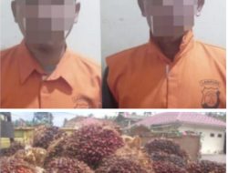 Pencurian Sawit 1,4 Ton Di Amankan Polsek Katibung