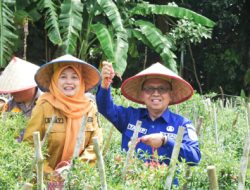 Panen Melimpah di Bengkalis: Pjs Bupati Apresiasi Upaya Kelompok Tani Hijau Bumi