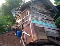 Kawanan Gajah Rusak 7 Rumah Warga di Kabupaten Tanggamus