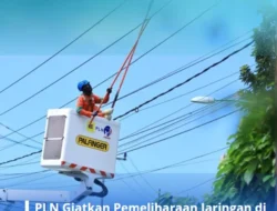 PLN Giatkan Pemeliharaan Jaringan di Berbagai Wilayah Jatim