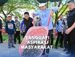 Tanggapi Aduan Jalan Rusak, Bupati Egi Gercep Lakukan Perbaikan Jalan Ruas Tugu Radin Inten-Exit Tol Kalianda