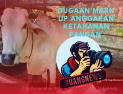 Kasus Sapi Desa Sumber Agung: Penyaluran Baru Terjadi Setelah Muncul Kegaduhan Publik