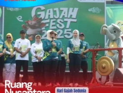 Lampung Timur Semarakkan Hari Gajah Sedunia dengan Elefun Run Gajah Fest 2025
