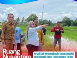 Yuti Rama Yanti Gerak Cepat Penuhi Harapan Petani Kalirejo Soal Listrik