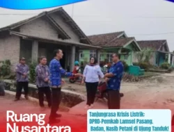 Krisis Listrik Tanjungrasa: DPRD-Pemkab Lamsel Bergerak Cepat, Pertanian Warga Jadi Taruhan
