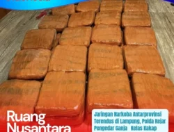 Kurir Ganja Lintas Provinsi Dibekuk di Lampung, Polisi Buru Otak di Baliknya