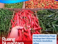 Mendagri Tito Minta Pemda Kendalikan Inflasi di Atas 3,5 Persen