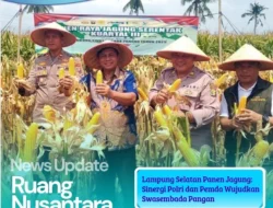 Lampung Selatan Panen Jagung Raya, Sekda Apresiasi Dukungan Polri untuk Swasembada Pangan