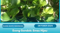 Eceng Gondok: Dari Gulma Pengganggu Menjadi Sumber Manfaat Berlimpah