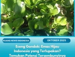 Eceng Gondok: Dari Gulma Pengganggu Menjadi Sumber Manfaat Berlimpah
