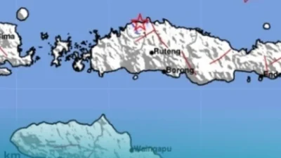 Gempa Magnitudo 3,1 Guncang Ruteng, Manggarai; Tidak Berpotensi Tsunami