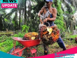 Wamenlu: Standar Industri Sawit Harus Berlaku Universal