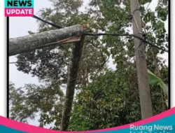 DPD LPKSM-GML Lampung Selatan Minta PLN Perbaiki Pelayanan: Warga Keluhkan Pemadaman hingga Kabel Berbahaya