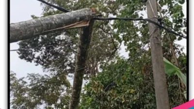 DPD LPKSM-GML Lampung Selatan Minta PLN Perbaiki Pelayanan: Warga Keluhkan Pemadaman hingga Kabel Berbahaya