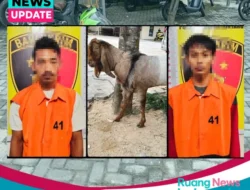 Polisi Ungkap Sindikat Pencurian Kambing di Lampung Selatan, Dua Pelaku Ditangkap dan Diduga Beraksi di 8 Lokasi
