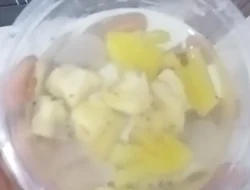 Menu Pisang Mentah di SPPG Pardasuka 2 Diduga Coreng Program MBG Prioritas Presiden Prabowo Subianto