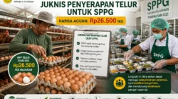 Kementan Siapkan Juknis Penyerapan Telur untuk SPPG, Harga Acuan Rp26.500 per Kilogram