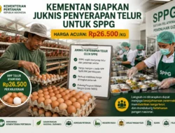 Kementan Siapkan Juknis Penyerapan Telur untuk SPPG, Harga Acuan Rp26.500 per Kilogram