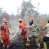 Hotspot Karhutla Menurun dalam 24 Jam, Kemenhut Intensifkan OMC di Sumatra dan Kalimantan