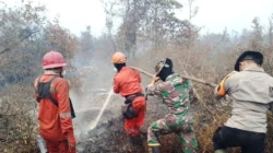 Hotspot Karhutla Menurun dalam 24 Jam, Kemenhut Intensifkan OMC di Sumatra dan Kalimantan