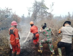 Hotspot Karhutla Menurun dalam 24 Jam, Kemenhut Intensifkan OMC di Sumatra dan Kalimantan
