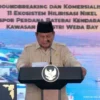 11 Proyek Hilirisasi Diluncurkan di IWIP, Investasi Tembus US$20 Miliar