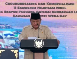 11 Proyek Hilirisasi Diluncurkan di IWIP, Investasi Tembus US$20 Miliar