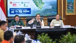 Titik Panas Sumsel Turun Drastis, Pemerintah Kucurkan Banpres Rp100 Miliar untuk 10 Daerah