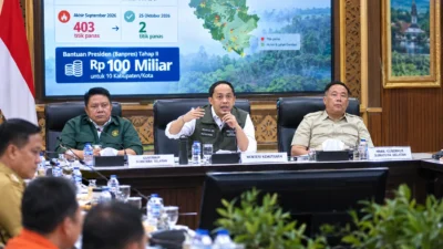 Titik Panas Sumsel Turun Drastis, Pemerintah Kucurkan Banpres Rp100 Miliar untuk 10 Daerah